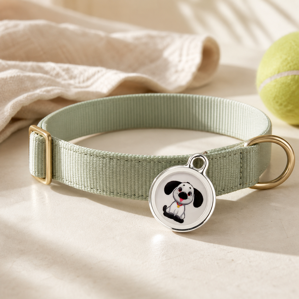 Smart GPS Pet Collar Waterproof