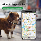 Global Ranging Pet Locator Smart GPS Pet Collar for Cat&Dog Anti-Lost Waterproof IP67 4G Network Tracking Positioning Device